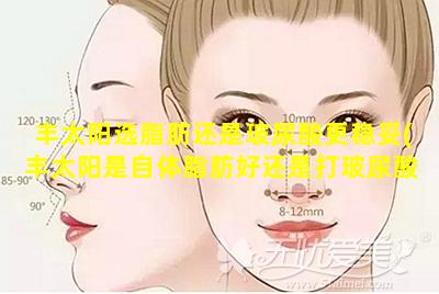 丰太阳选脂肪还是玻尿酸更稳妥(丰太阳是自体脂肪好还是打玻尿酸好 🐘 )